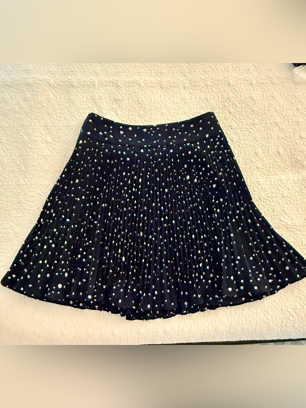 Ann Taylor Navy Skater Skirt with White Polka Dots